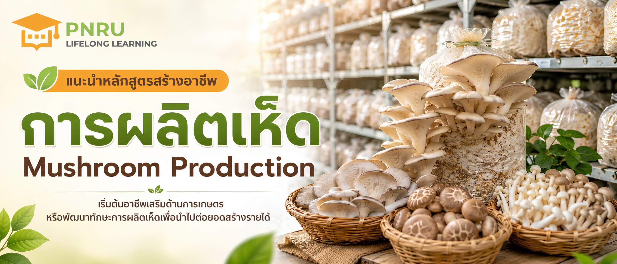 การผลิตเห็ด (Mushroom Production)