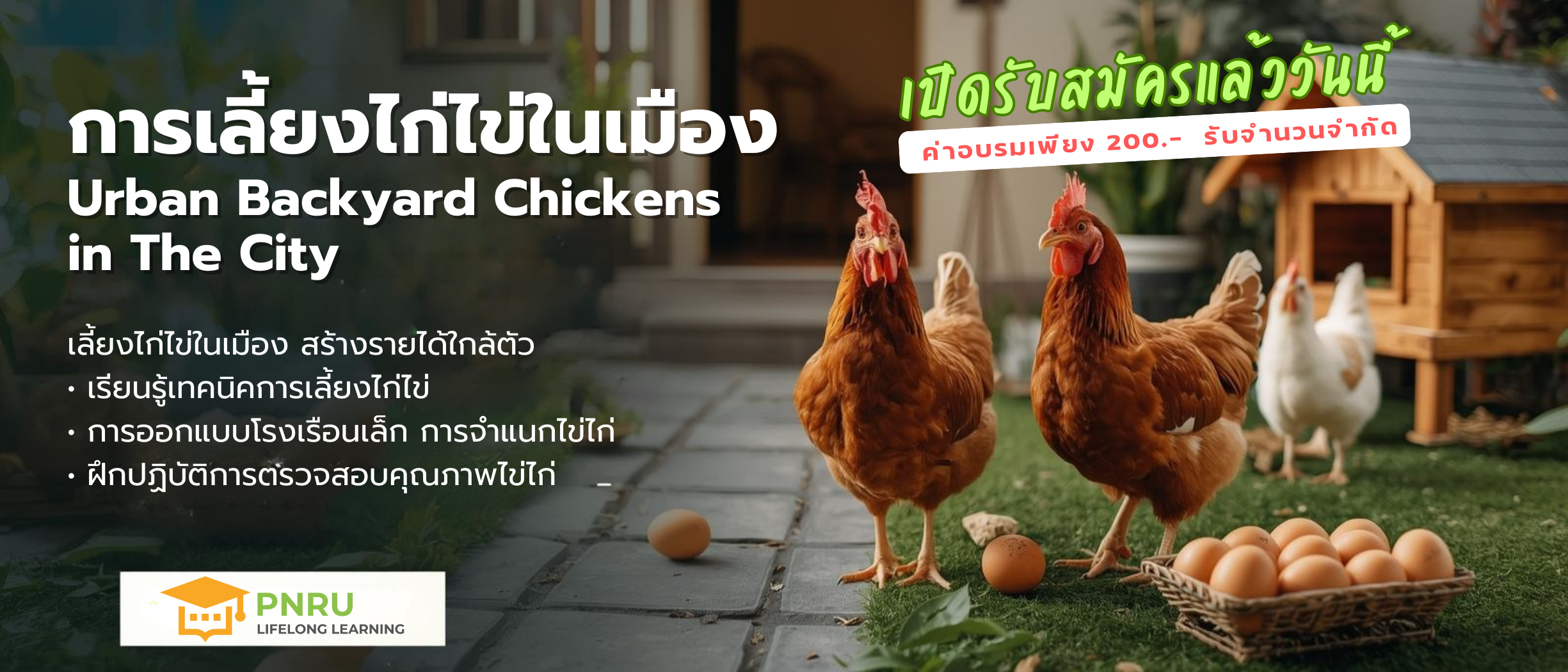 เปิดรับสมัคร การเลี้ยงไก่ไข่ในเมือง (Urban Backyard Chickens in The City)